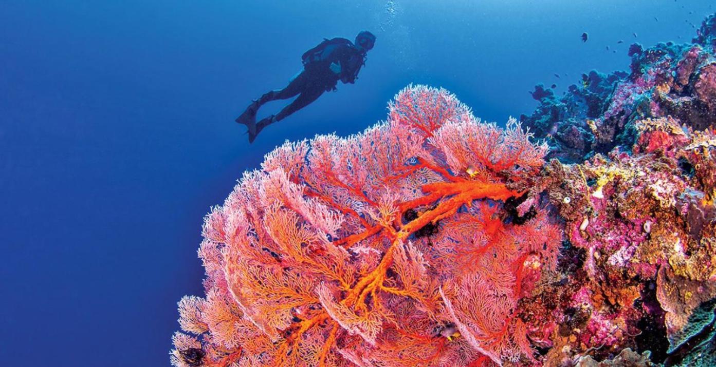 Pristine Paradise Dive Resort - Togean Islands, Una Una Pulau Unauna Zewnętrze zdjęcie